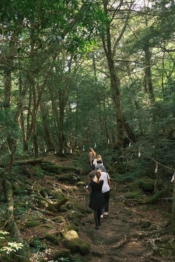aokigahara ormani fuji dagi turizm.jpg